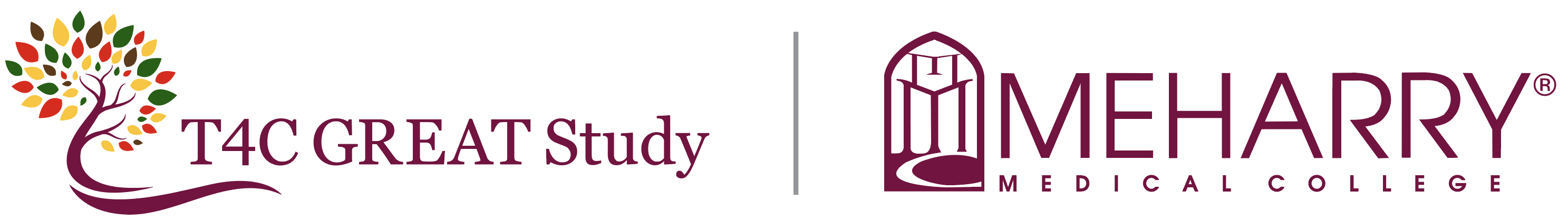 Meharry Medical College Logo